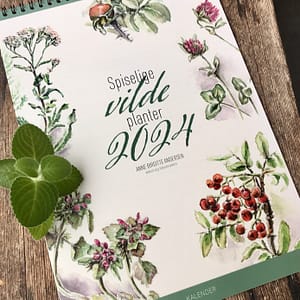 Kalender 2024 – Spiselige vilde planter