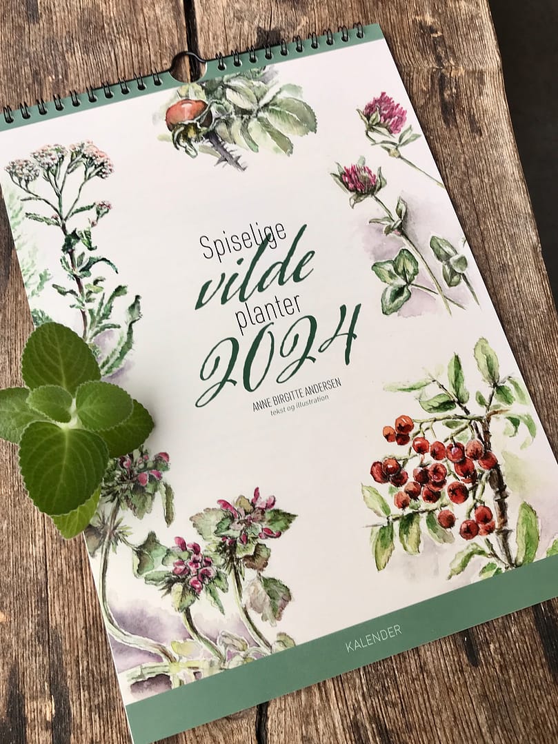 Kalender 2024 – Spiselige vilde planter